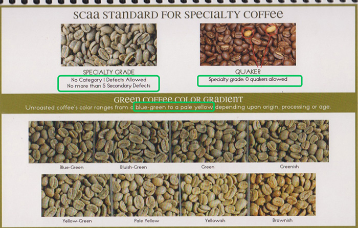 SCAA pecialty Coffee精品咖啡生豆的标准 做一杯好咖啡的必备