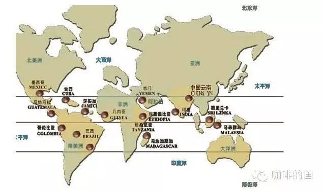 咖啡风味由什么决定？产地、烘焙还是冲煮，一次说清