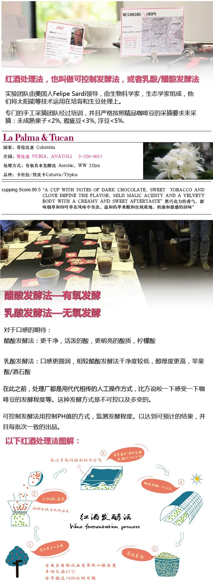 巴拿马哈特曼边界日晒瑰夏,白蜜处理莱丽达,哥伦比亚红酒处理法