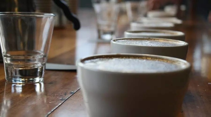 SCAA杯测表怎么用？10个评分项、扣分规则与80分精品线一次讲清