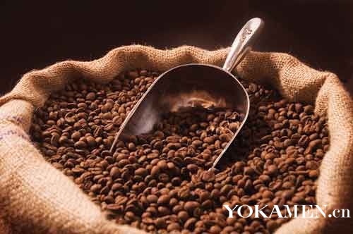 世界咖啡庄园:埃尔萨咖啡庄园 哥斯达黎加咖啡的精品之路