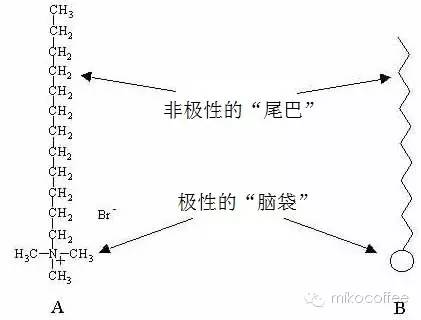 咖啡拉花为什么能浮在表面？从流体力学和表面剂原理讲清拉花