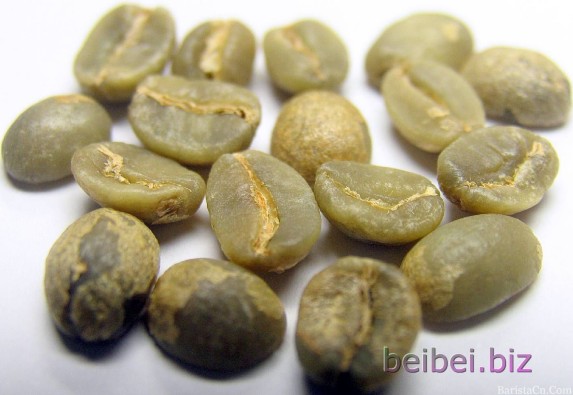 世界精品咖啡豆介绍:云南小粒咖啡 Bourbon 波邦AA级 生豆
