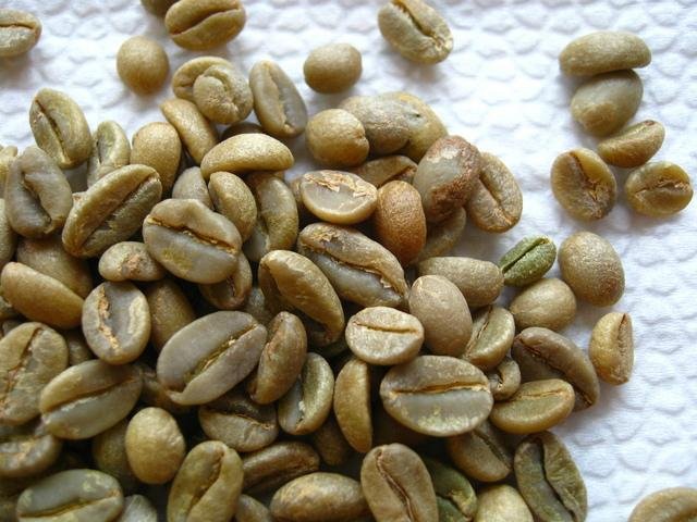 精品咖啡豆庄园:哥斯达黎加庄园La Minita拉米妮塔精品庄园咖啡