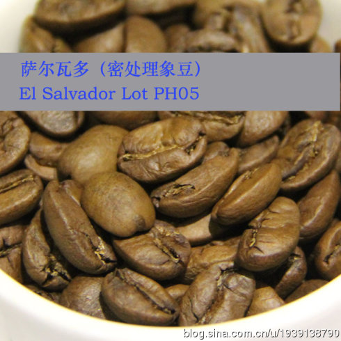 萨尔瓦多咖啡豆风味有什么特点？与危地马拉、哥斯达黎加对比及烘焙程度怎么选