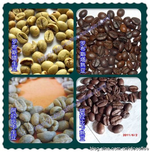 阿拉比卡和罗布斯塔有什么区别？好豆子与坏豆子到底怎么分