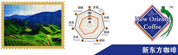 危地马拉八大产区咖啡特征属性 不同特性的危地马拉咖啡豆怎么喝