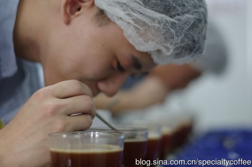 咖啡杯测怎么做？从干香到破渣的8个步骤与SCAA评分项详解