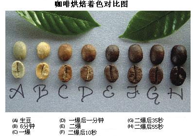 咖啡豆烘焙程度怎么选？浅焙到深焙的颜色、爆裂声与风味变化全解析