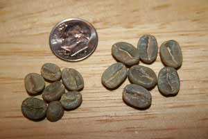 精品咖啡Specialty Coffee是什么？一文看懂第三波咖啡与各国豆分级标准