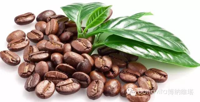 咖啡杯怎么拿、糖怎么加？喝咖啡的7个正确礼仪与品尝方法