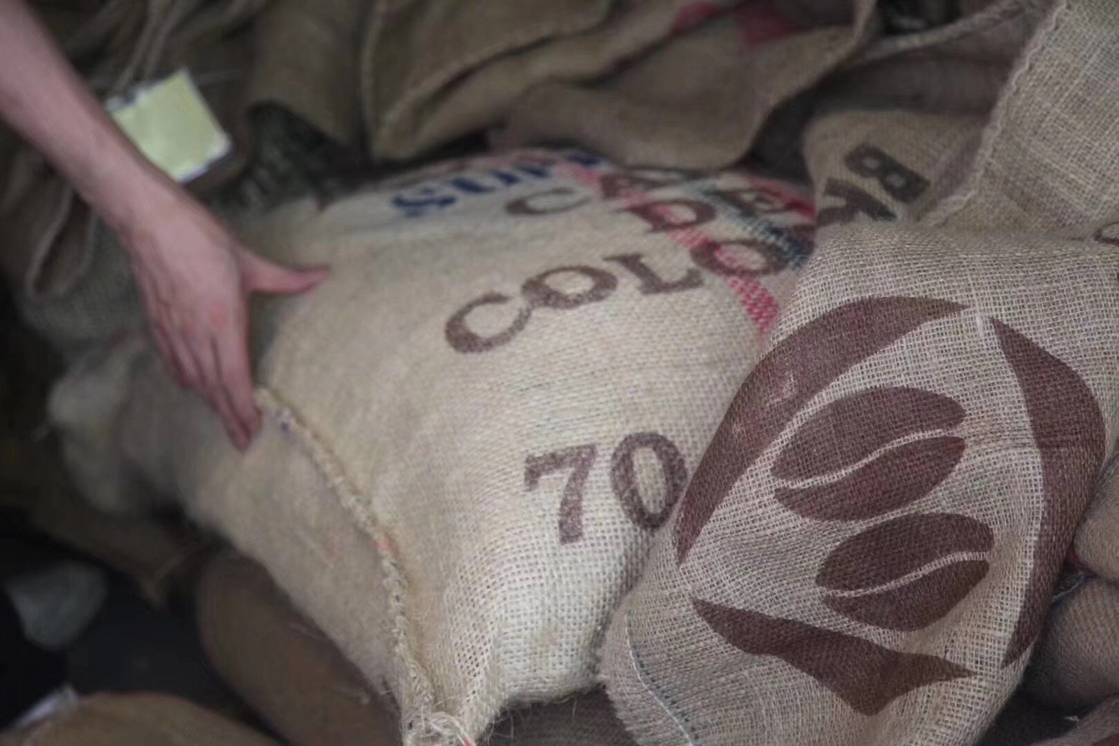 哥伦比亚考卡卓越杯 | 哥伦比亚Colombia考卡省卓越杯水洗特选批