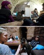 猫咪、山羊还是地震主题？全球十大最酷咖啡馆盘点与经营启发
