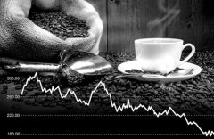 云南咖啡豆滞销或为假象信息缺失致咖农茫然