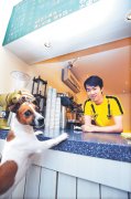狗狗咖啡馆值得去吗？木栅这家有店狗OhYA的冠军咖啡店能边喝咖啡边撸狗