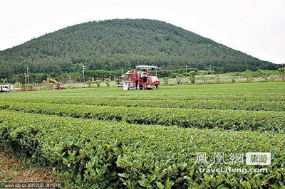 韩国济州:火山洞变咖啡厅