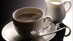 咖啡品味:奇葩