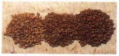 咖啡豆平豆和圆豆有什么区别？一文看懂咖啡豆规格、等级与风味的关系