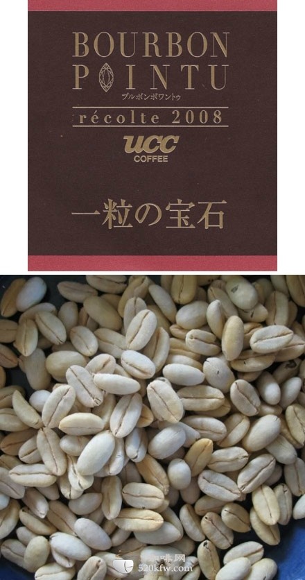 咖啡豆王:波旁尖身Bourbon <wbr/>Pointu