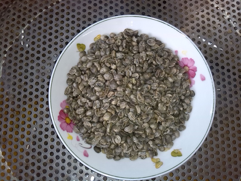 猫屎咖啡 云南麝香猫咖啡豆处理过程 麝香猫咖啡 猫屎咖啡