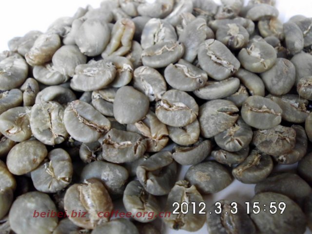 咖啡豆图片 黄金曼特宁生豆 golden mandheling 黄金曼特宁
