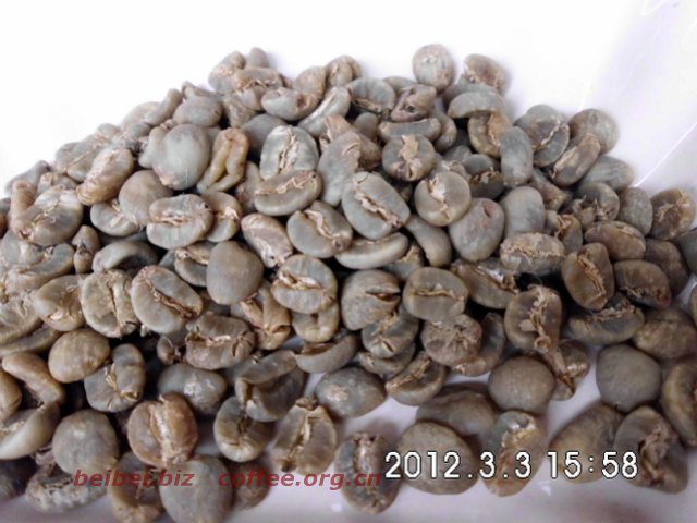 咖啡豆图片 黄金曼特宁生豆 golden mandheling 黄金曼特宁