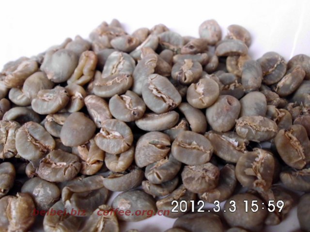 咖啡豆图片 黄金曼特宁生豆 golden mandheling 黄金曼特宁