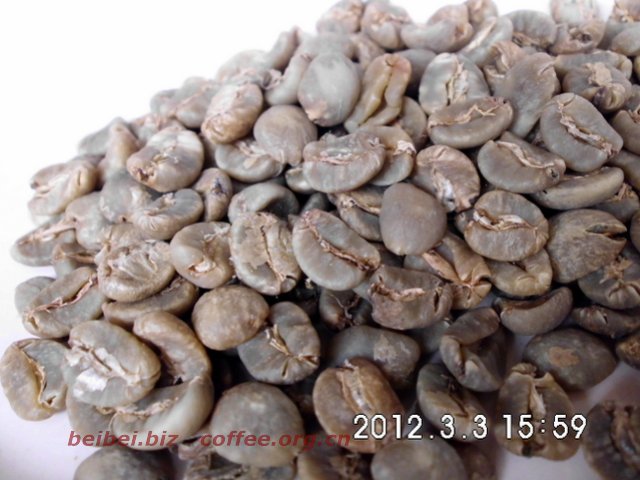 咖啡豆图片 黄金曼特宁生豆 golden mandheling 黄金曼特宁