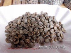咖啡豆图片 黄金曼特宁生豆 golden mandheling
