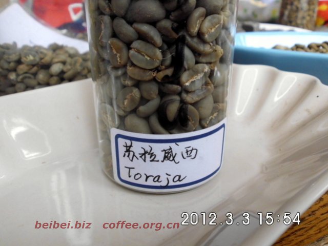 咖啡豆图片 印尼苏拉威西toraja塔拉加 苏拉威西 塔拉加 咖啡豆图片 印尼 toraja