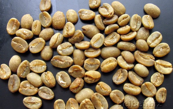 印尼 苏拉维西 卡罗西 Sulawesi Celebes Kalossi green bean