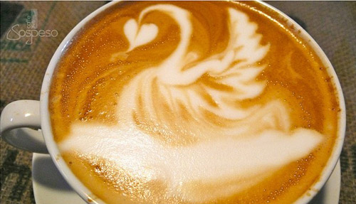 Caffe Sospeso拿铁咖啡拉花作品:天鹅
