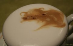 睡着的猫 sammylin的拉花作品(组图)