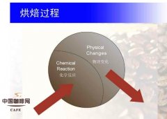 咖啡烘焙的艺术和科学,你喜欢那种烘焙?