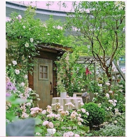 一生咖啡&nbsp;<wbr>&nbsp;<wbr>在努力中幸福&nbsp;<wbr>&nbsp;<wbr>幸福中努力