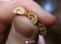 咖啡豆拼配是艺术还是商业手段？了解混合咖啡豆的取舍逻辑