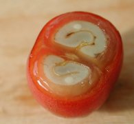 咖啡豆解剖(9图)