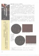 咖啡的萃取 谈谈特浓咖啡(Espresso)