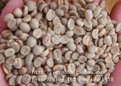 哥斯达黎加咖啡豆为什么被称为“特硬豆”？塔拉苏产区风味与分级一次讲清