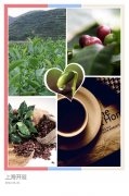巴西波旁山度士咖啡是什么味道？为什么它是意式拼配的万金油？