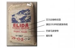 巴拿马艾力达咖啡豆怎么烘焙？波奎特蜜处理风味与中浅焙技巧