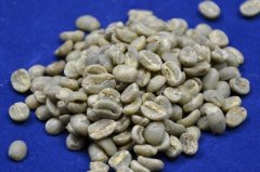 肯尼亚AA咖啡为什么被业内追捧？完全水洗处理的风味密码