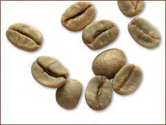 精品咖啡豆图片欣赏 巴西小粒咖啡豆图片