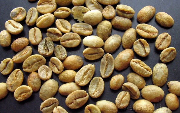 埃塞俄比亚(衣索比亚)摩卡咖啡生豆 Ethiopia mocha green bean