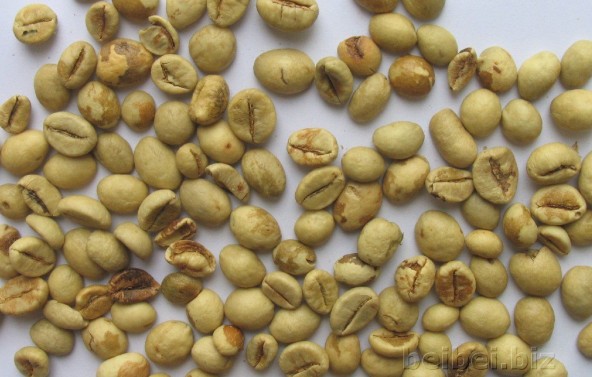 北苏门答腊A.P.罗布斯塔 North Sumantra A.P. Robusta Grade 3