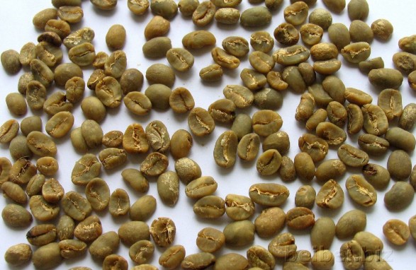 北苏门答腊一级曼特宁 North Sumantra Mandheling Grade 1