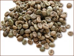精品咖啡豆推荐 老挝中粒咖啡豆图片（Lao Robusta）
