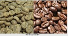 咖啡的故事 牧羊小童大战绿巨人