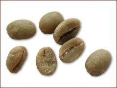 精品咖啡常识 摩卡咖啡豆图片欣赏