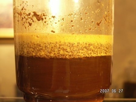 虹吸壶煮咖啡:两杯4瓢粉搅拌后吸水排气的状态